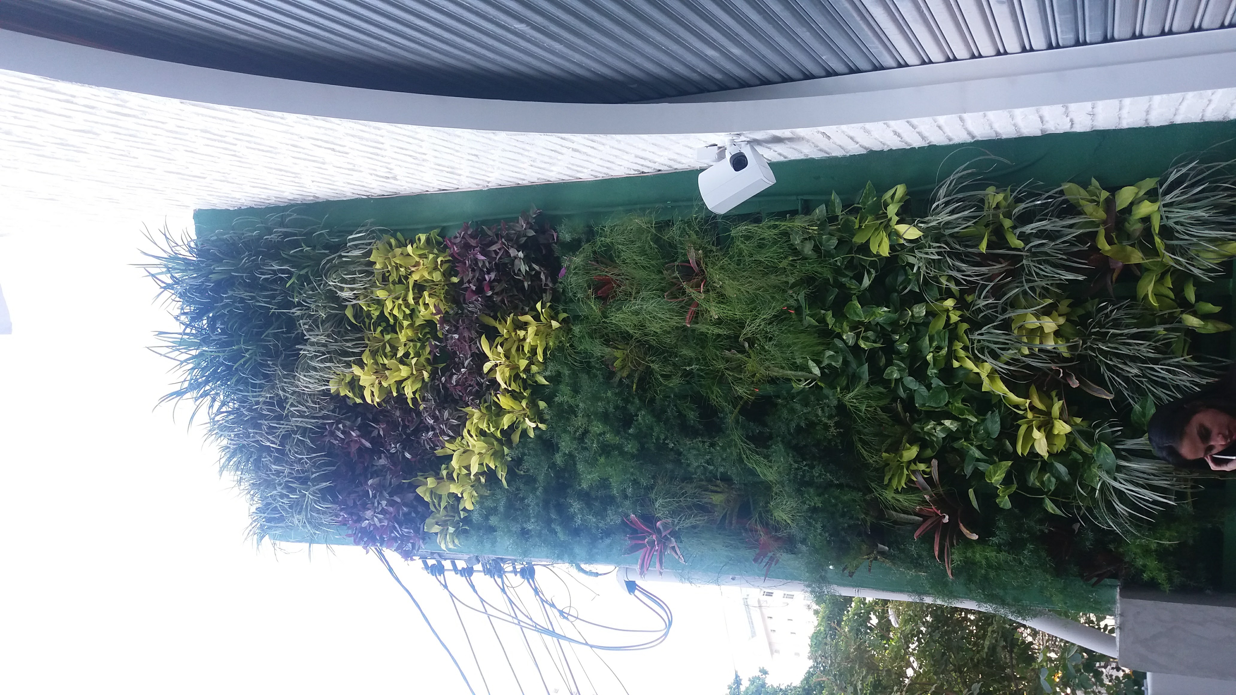 Parede Verde_Fachada Hamburgueria_Icaraí 3.jpg