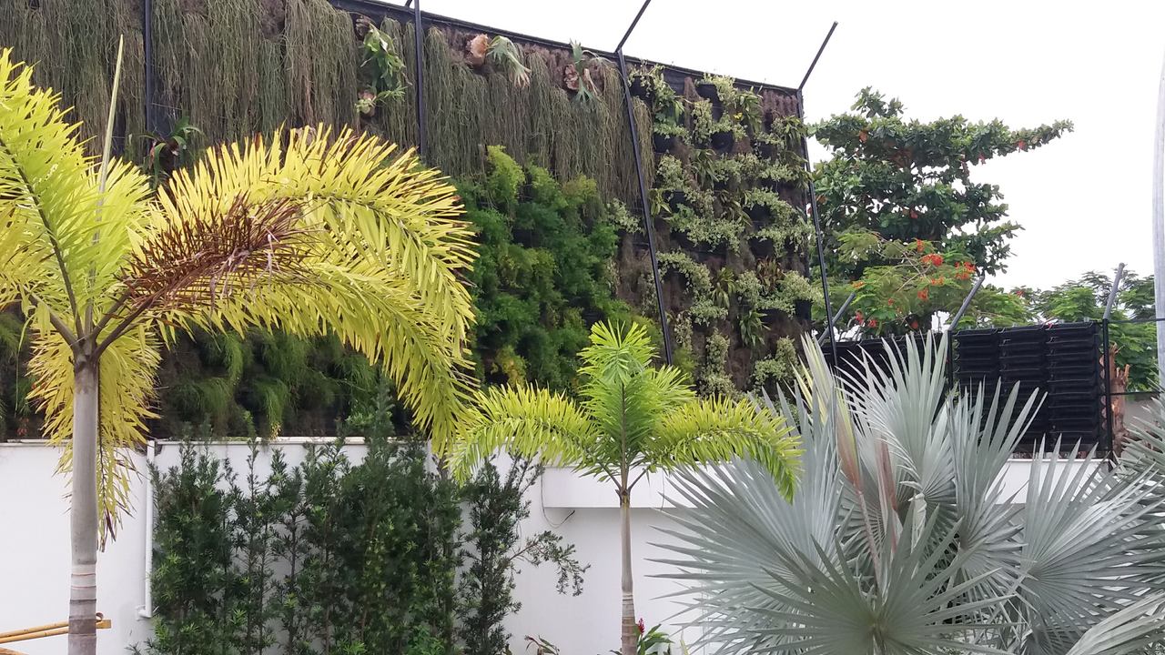 Parede Verde_Residência Cond. Lagoa Mar Sul_Barra 4.jpg