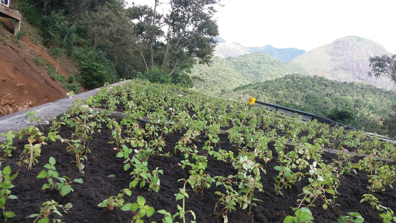 Telhado Verde_Petrópolis 4.jpg