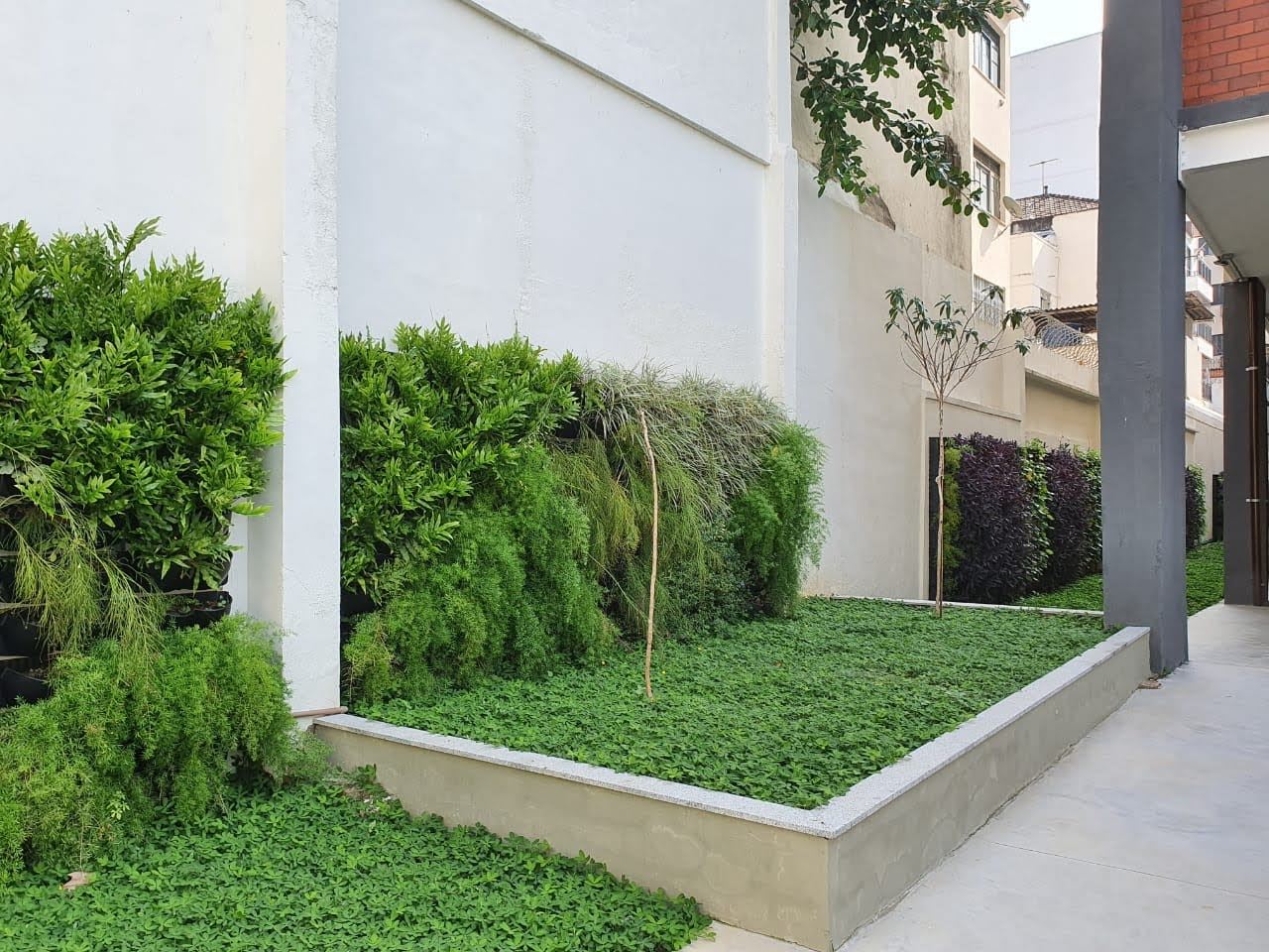 Parede Verde_Firjan_SENAI_SESI_ Maracanã 3.jpg