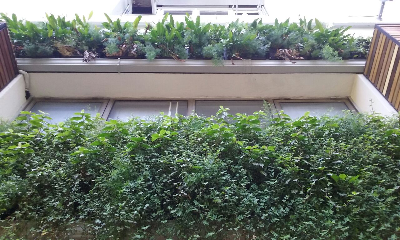 Parede Verde_Consulado Italiano 8.jpg