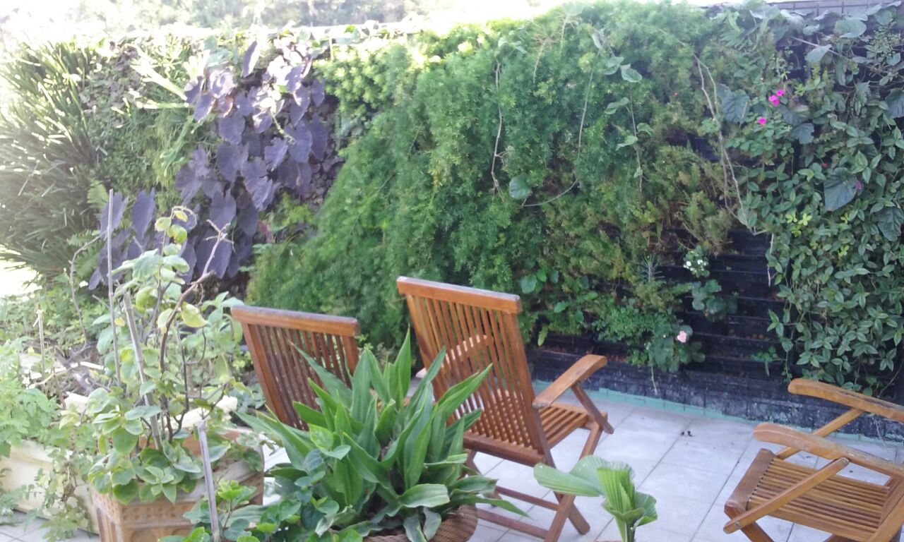 Parede Verde_Residência Cond. Pontal da Areia_Recreio 1.jpg