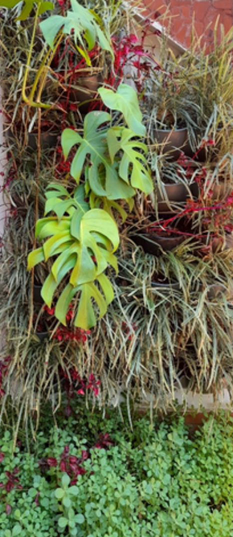 Jardim vertical_Centro_2.png