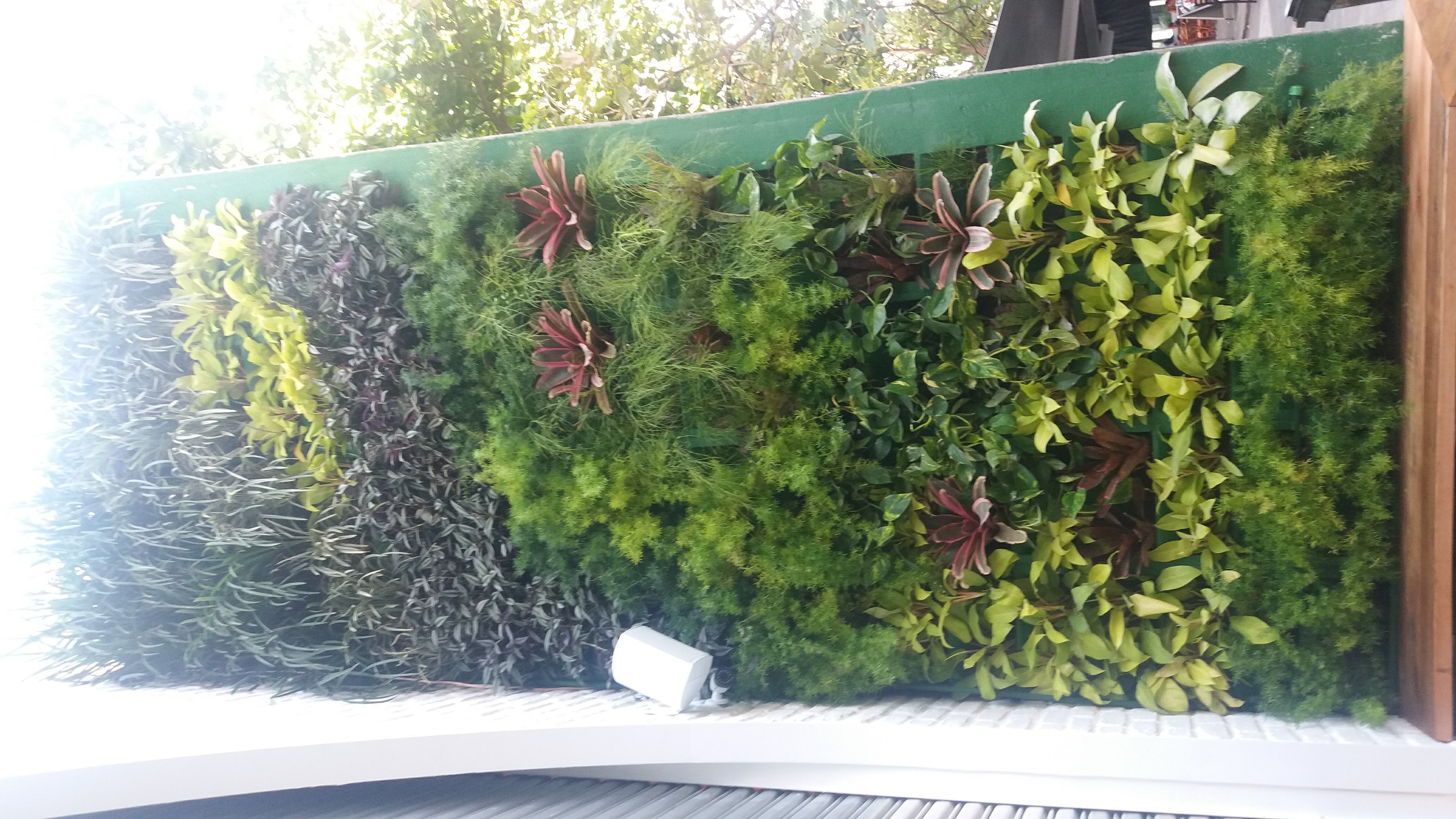 Parede Verde_Fachada Hamburgueria_Icaraí 1.jpg