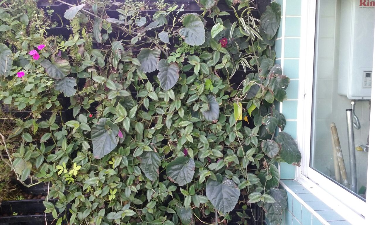 Parede Verde_Residência Cond. Pontal da Areia_Recreio 5.jpg