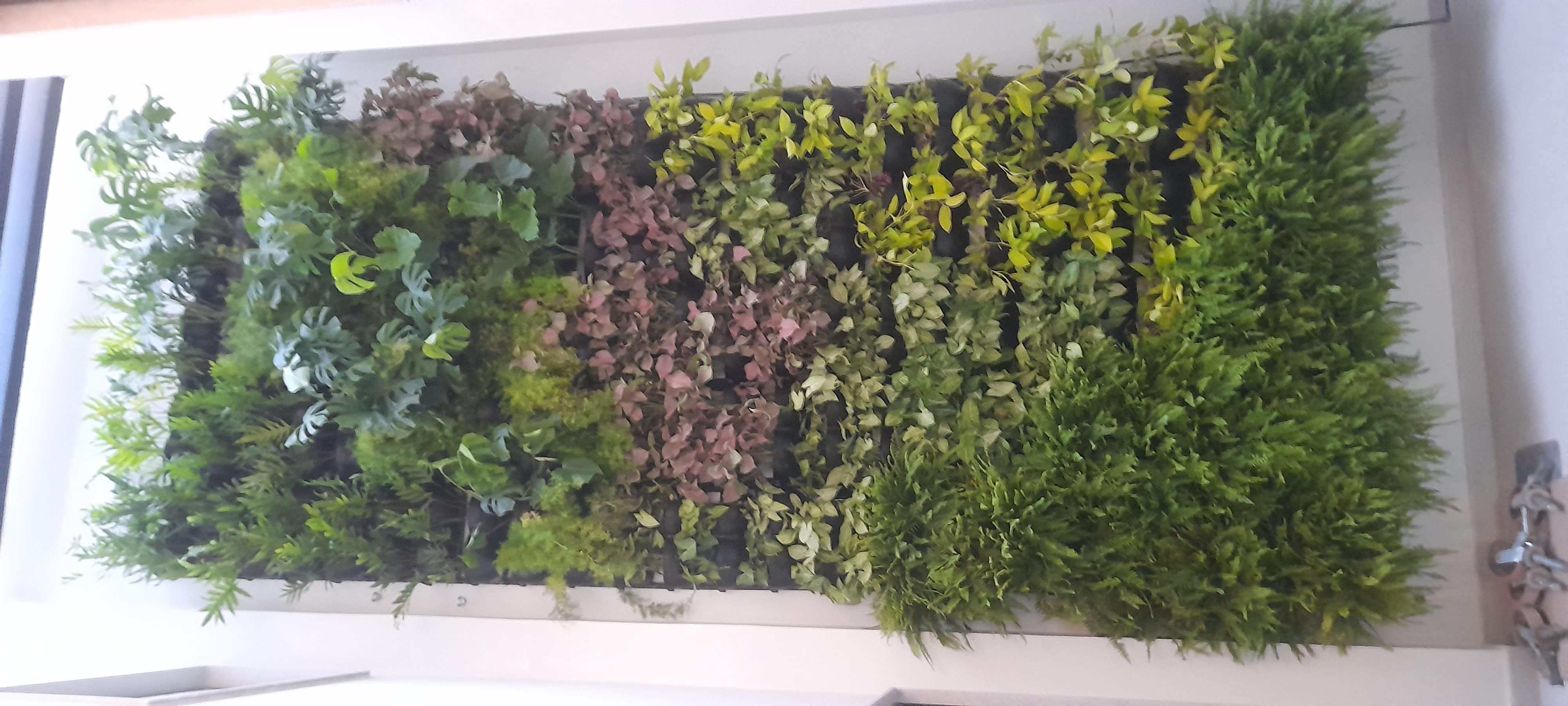 Jardim vertical_Barra (5).jpg