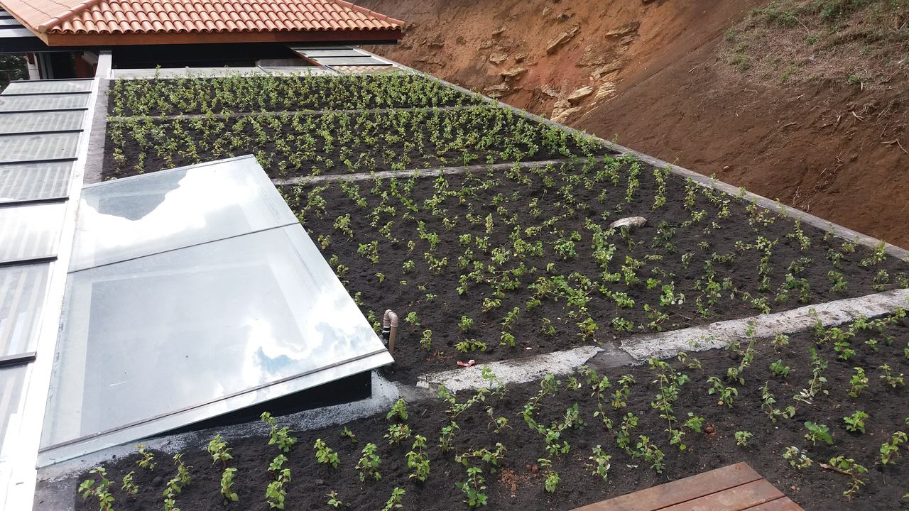 Telhado Verde_Petrópolis 2.jpg