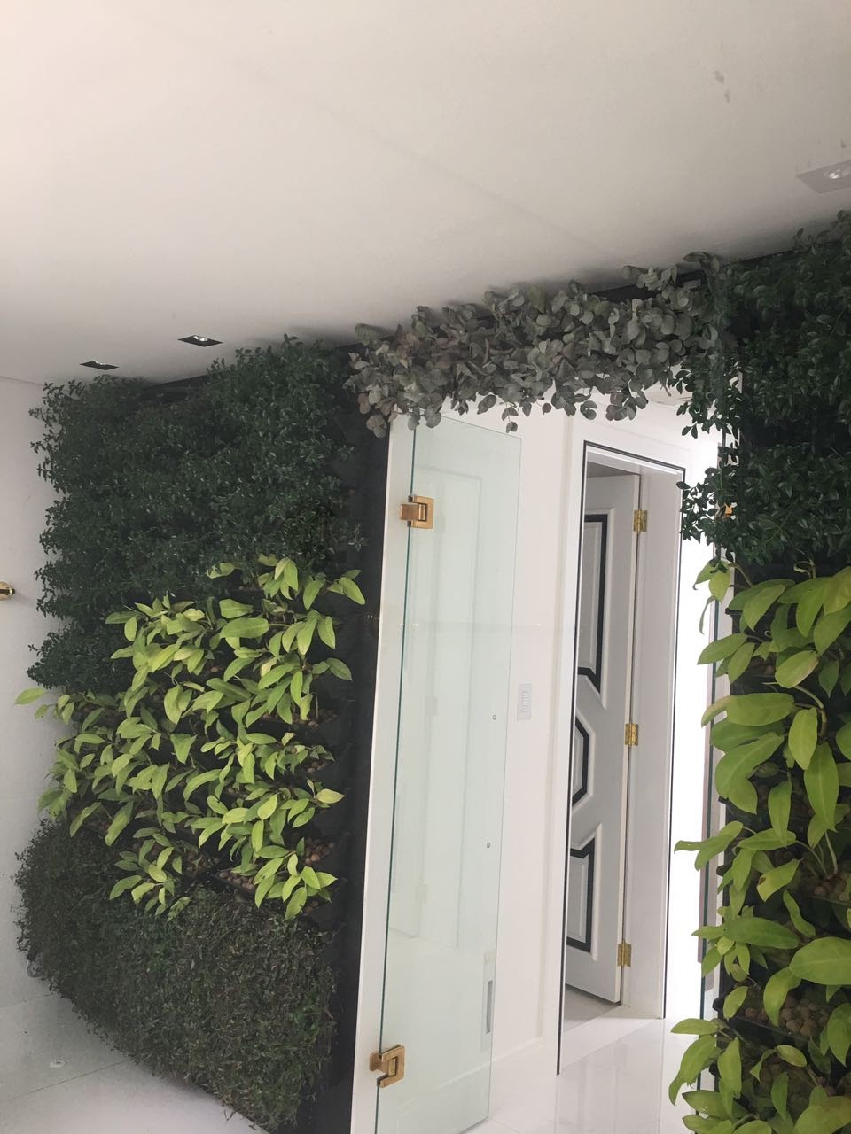 Parede Verde_Residência Av. Atlântica_Copacabana 2.jpg