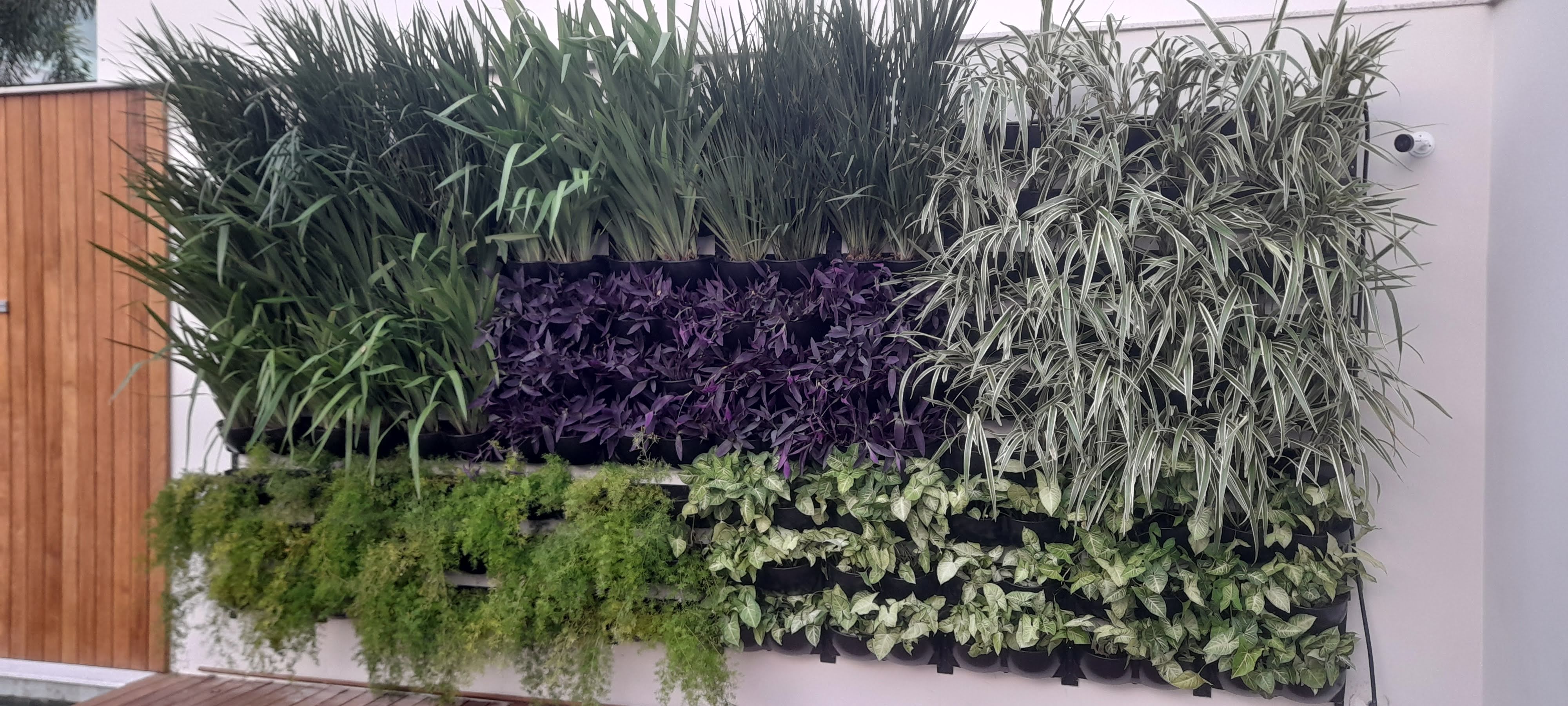Jardim vertical_Barra (4).jpg