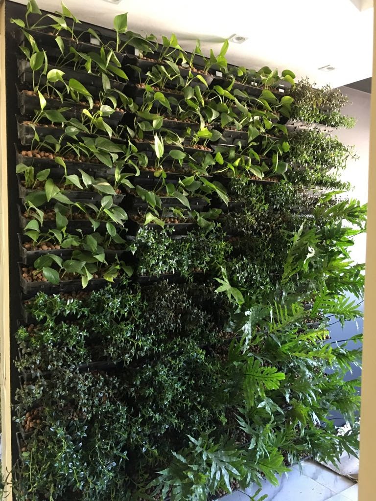 Parede Verde_Escritório_advocacia 1.jpg